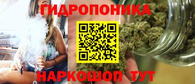 сатива Канаш